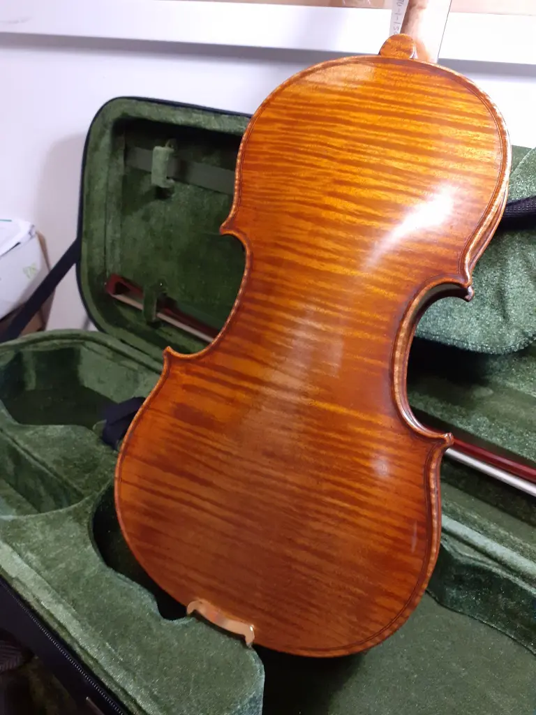 EA5-2-DL#B Atq back.webp