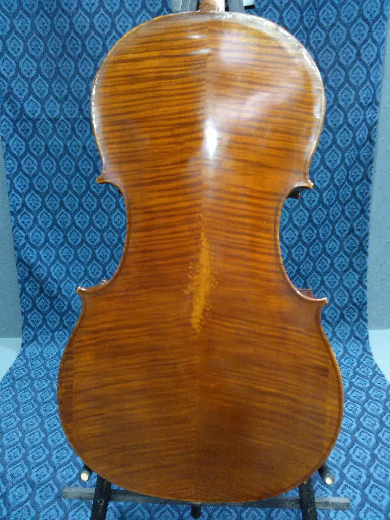 EIAC8-1-DL#B Atq AG Lien #B back.webp