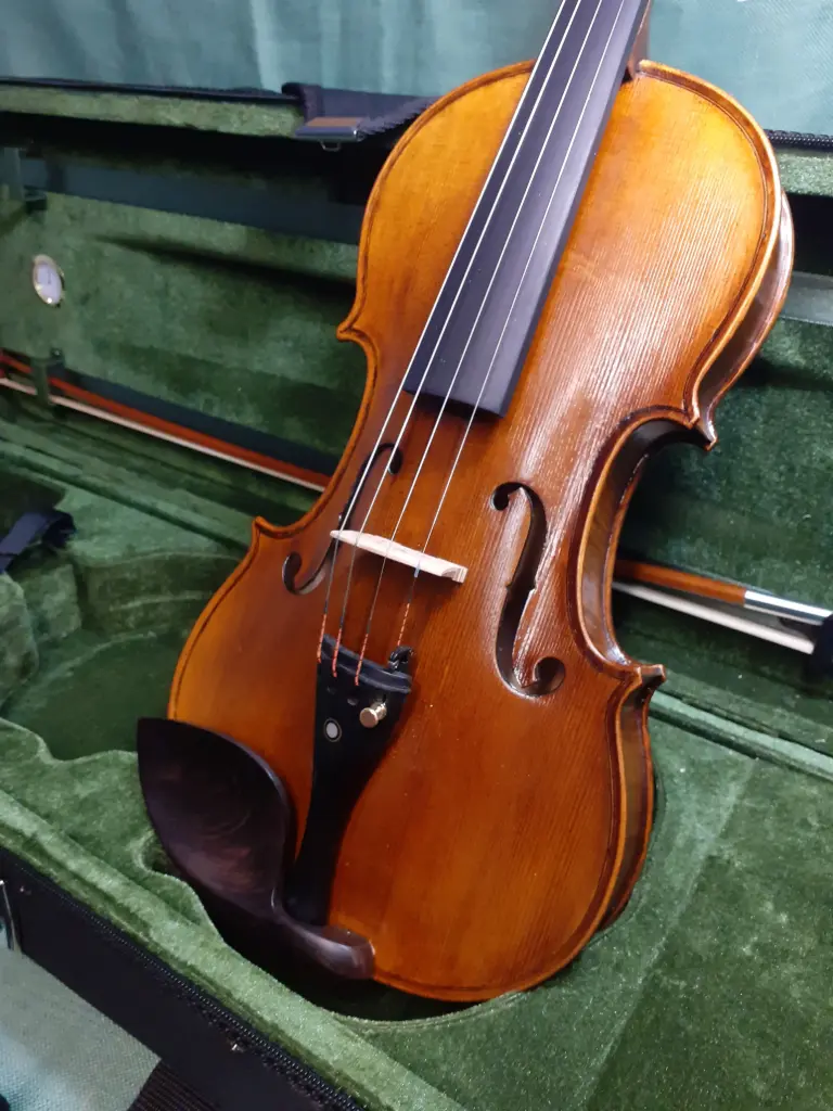 EIVA5-2-TL#05 ATQ 15.5"